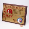Плакетка резная спортивная. Футбол. PN3173
